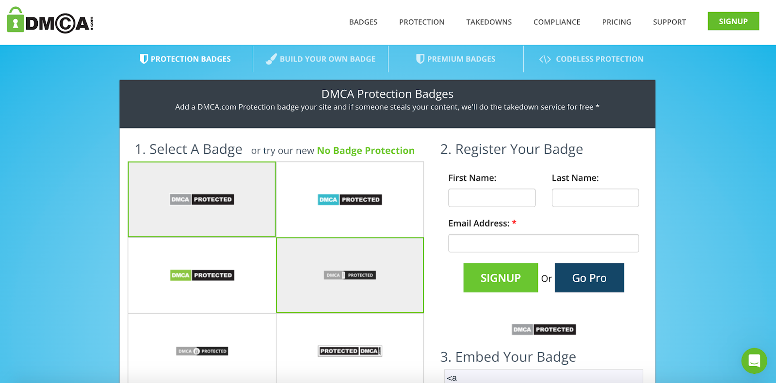 dmca website badge
