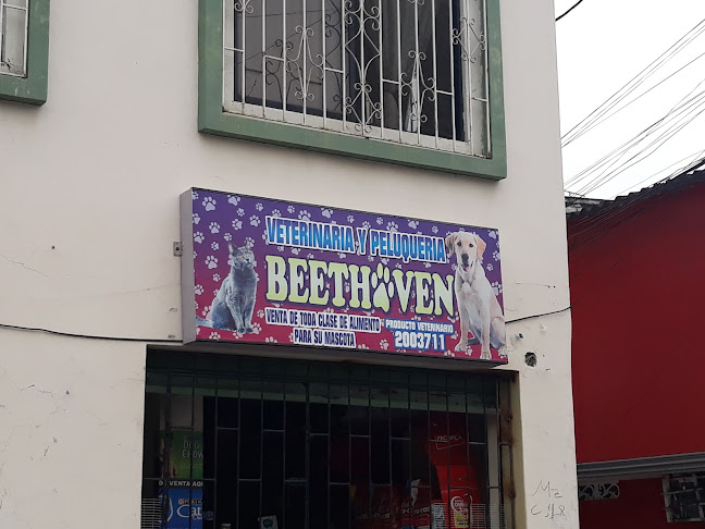 Opiniones de Beethoven en Guayaquil - Veterinario