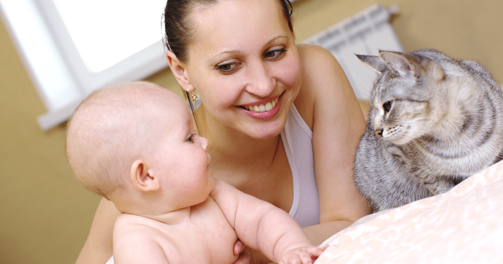 woman with new baby and silver cat