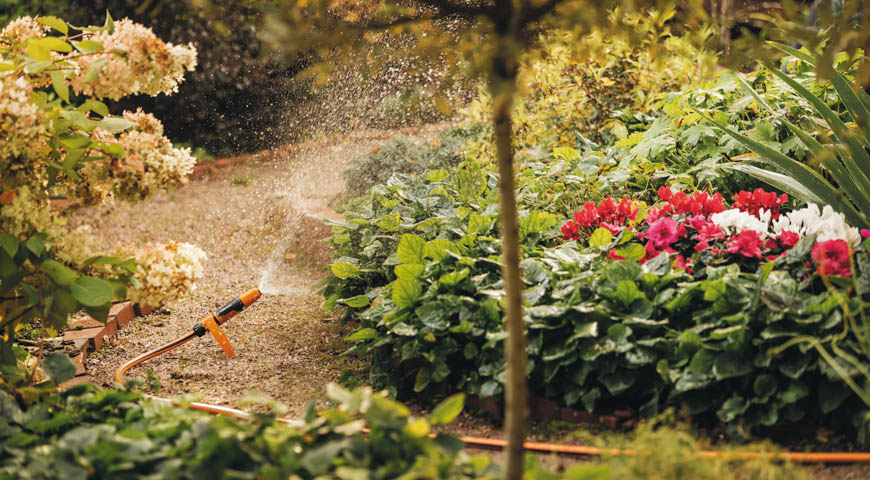 Как правильно поливать сад в жаркий период