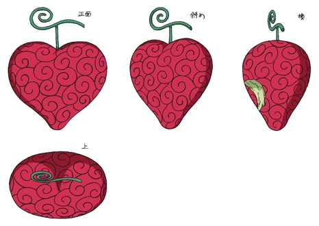 Devil Fruit, One Piece Wiki