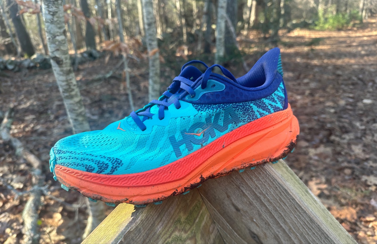 Road Trail Run: Hoka Challenger 7 Multi Tester Review: 12 Comparisons