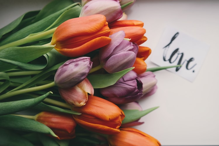 Heart Touching Love Messages To impress Your Boyfriend Heart Touching Love Messages To impress Your Boyfriend
