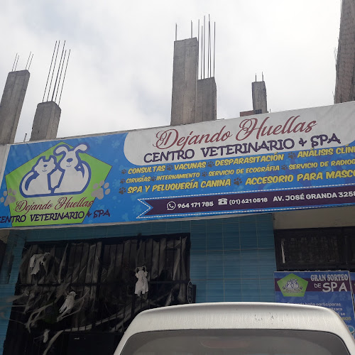Centro Veterinario & Spa DEJANDO HUELLAS - Veterinario