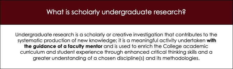 What is scholarly undergraduate research