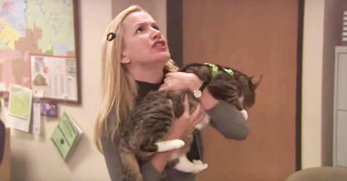 Angela And Cats - the office pick up lines