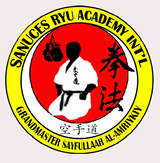 Sayfulah Sanuces Ryu In't patch design 1.jpg