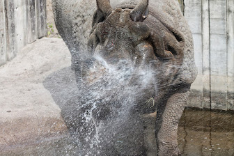 Zoo Warszawa Zoo Warszawa