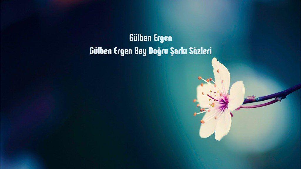 متن و ترجمه اهنگ Bay Dogru از Gülben Ergen