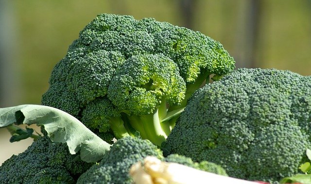 Broccoli vegetables name