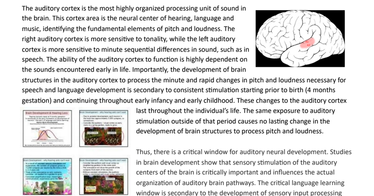 Brain-Development-and-Hearing-Loss-.pdf