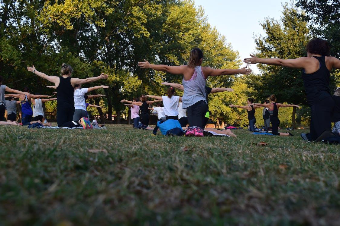 Free Women Performing Yoga on Green Grass Near Trees Stock Photo