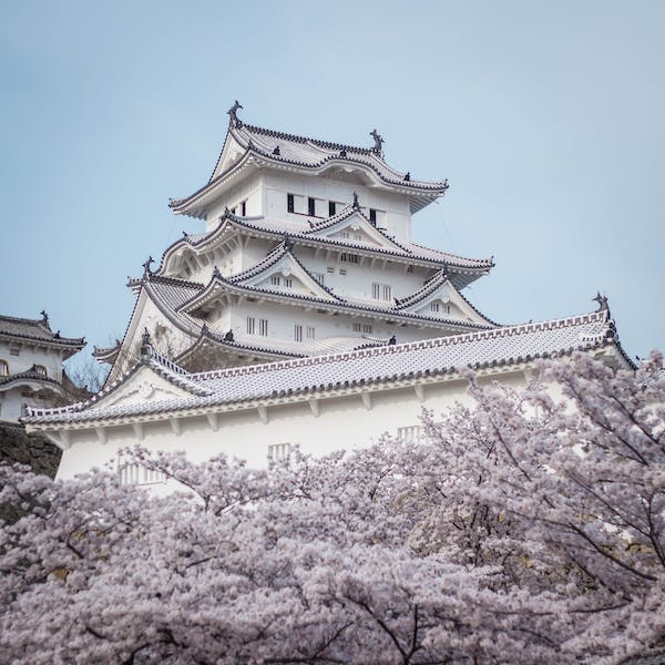 Should I Go to Japan or Vietnam (Answered!)