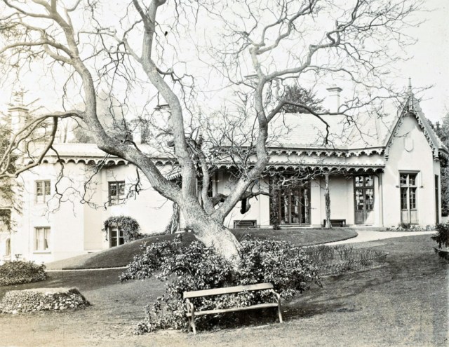 Adelaide Cottage East-Facing elevation