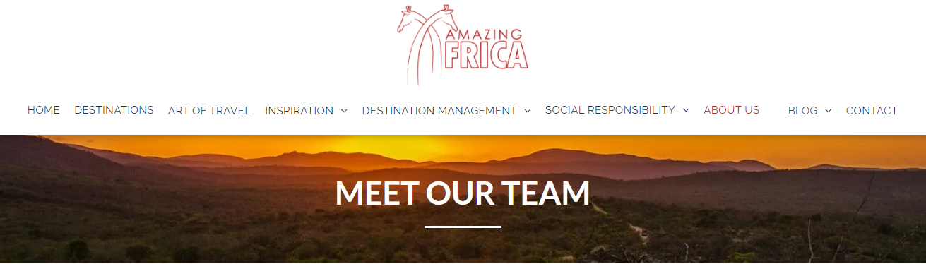 DMC Amaying Africa meet our team block on webpage Lemax