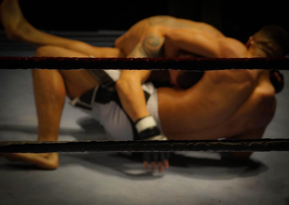 Free photos of Wrestling