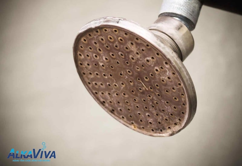 CÁC CĂN BỆNH NGUY HIỂM KHI TẮM BẰNG VÒI HOA SEN CHỚ COI THƯỜNG