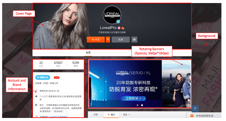 Profile Page of a Weibo corporate account