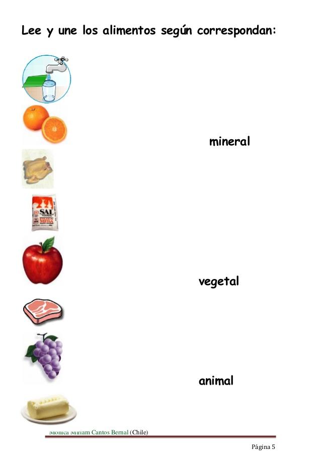 Resultado de imagen de taller clasificacion de los alimentos grado segundo