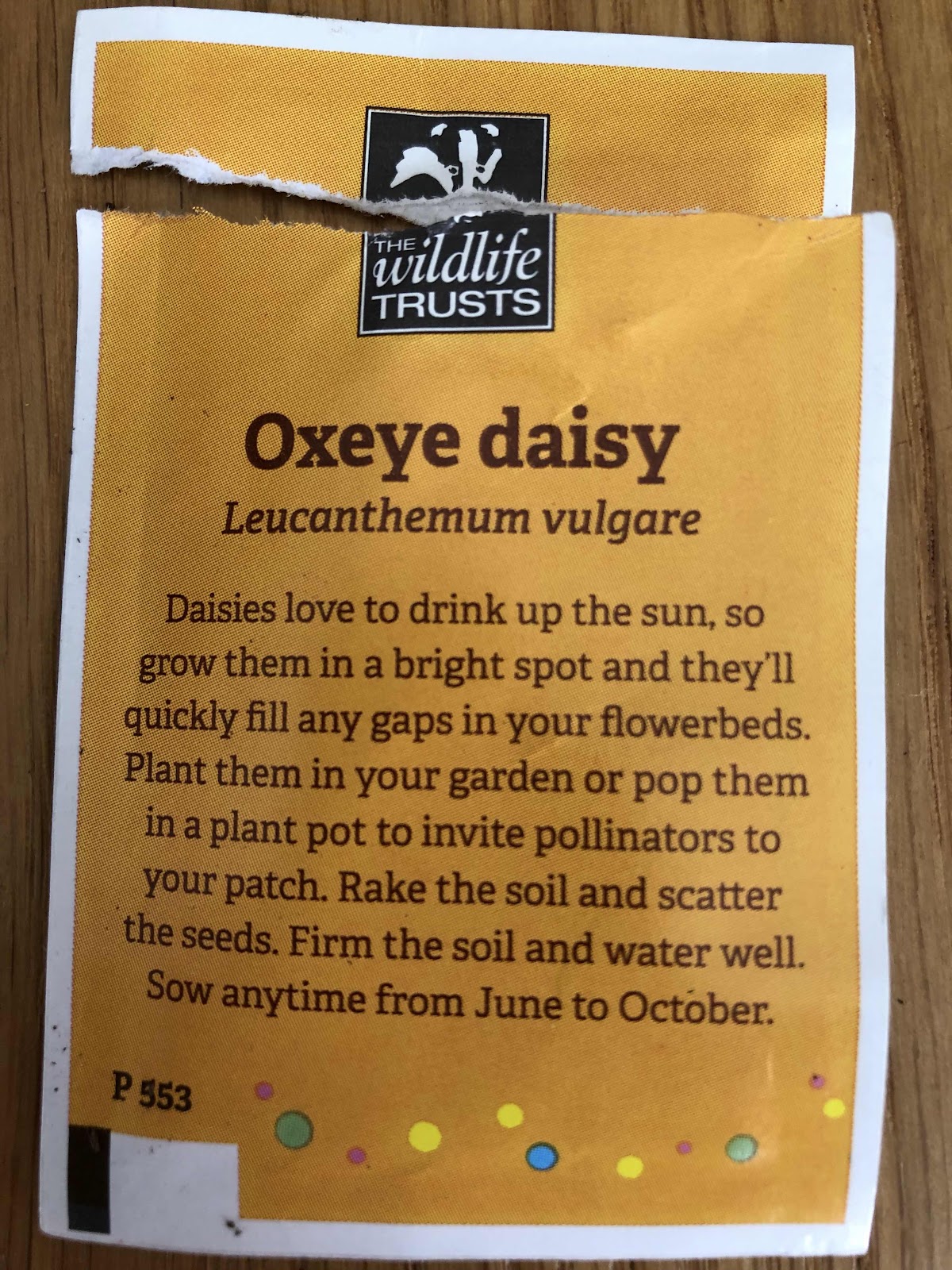 Oxeye daisy seed packet