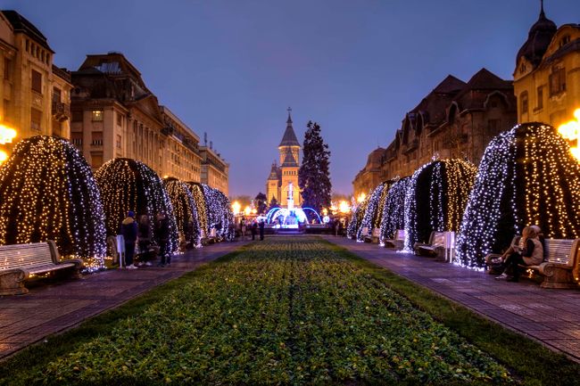 Timisoara at Christmas time (Dreamstime)