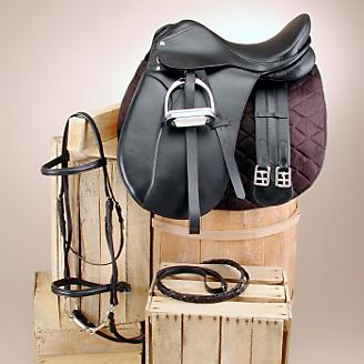 Types of Saddles: All Types of Western and English Saddles - Healthy ...