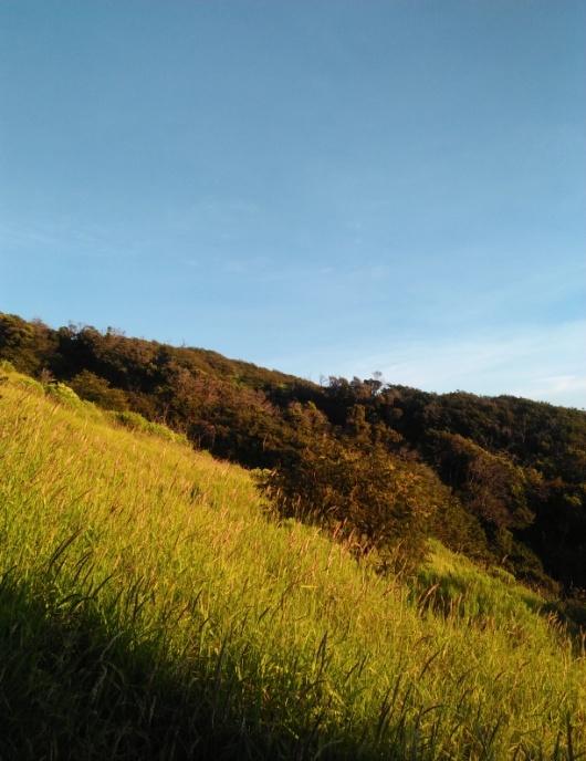 IMG20190608055931.jpg