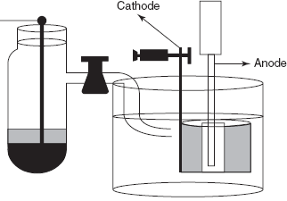 Working electrode