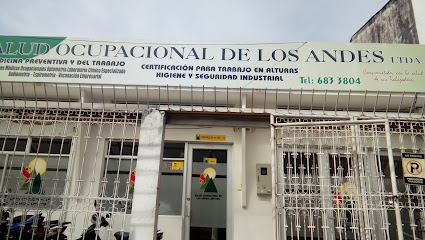 Salud Ocupacional de los Andes