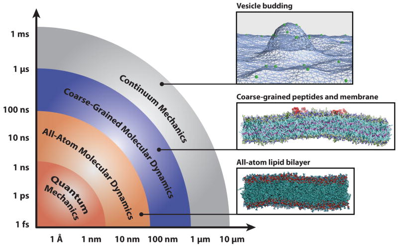 65 Coarse Grain Simulations Of Membranes Physics Libretexts - 