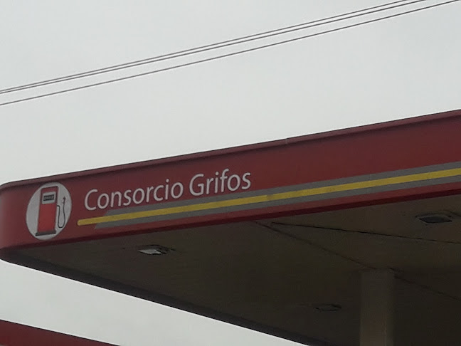 Opiniones de Consorcio Grifos en Lima - Gasolinera