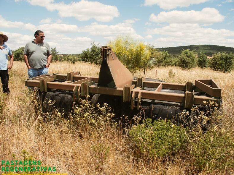 Uma imagem com relva, exterior, céu, máquina agrícola

Descrição gerada automaticamente