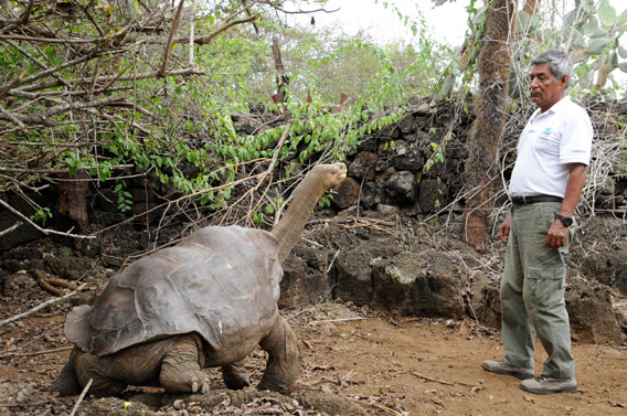 lonesomegeorge01.jpg