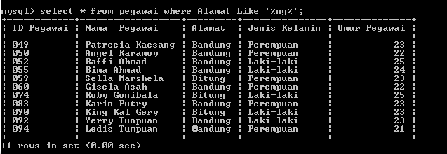 C:\Users\Aras\Documents\Tugas semester 1\Basis data\Tugas besar\7 Like, Order by, Grup By, Asc, Des\Like\Pegawai\Like 47.PNG