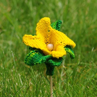 yellow flower outside in grass