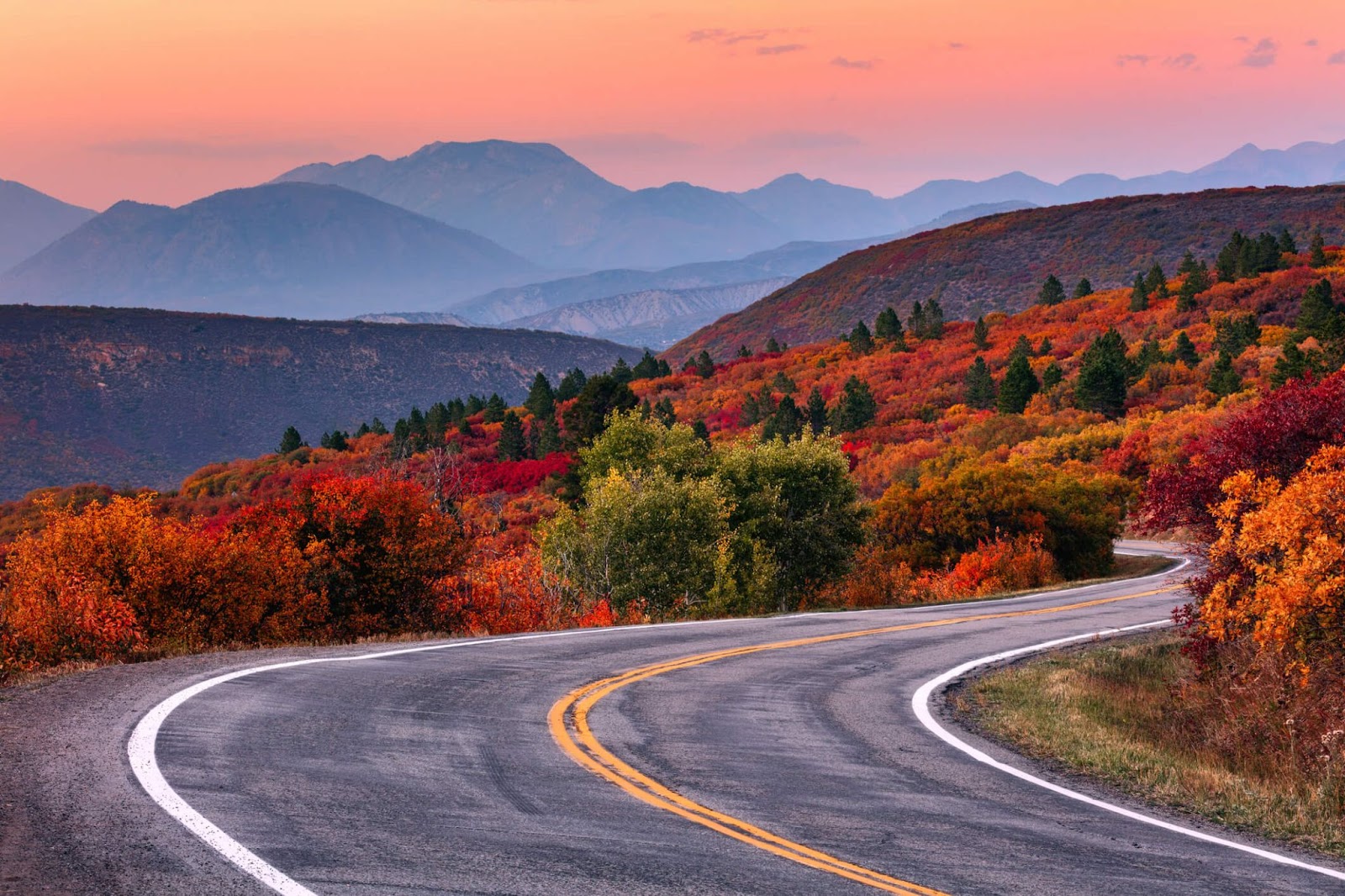 Autumn trees lining the winding road through the mountains.