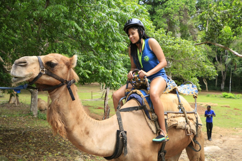 Adventure Park in Jamaica