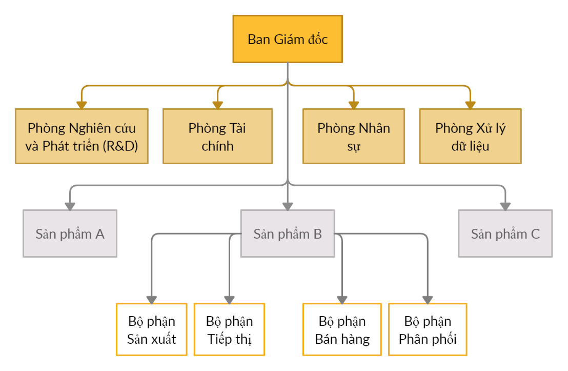 [FIA/MA1: Tóm tắt kiến thức] Lesson 1: Tổ chức và kế toán trong doanh nghiệp (Business organization and accounting)