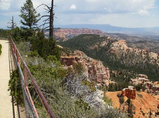 Bryce Canyon lookout