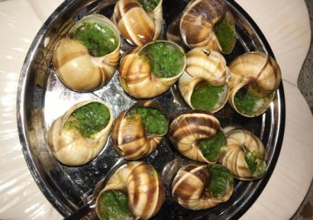 slimaki-escargots.jpg