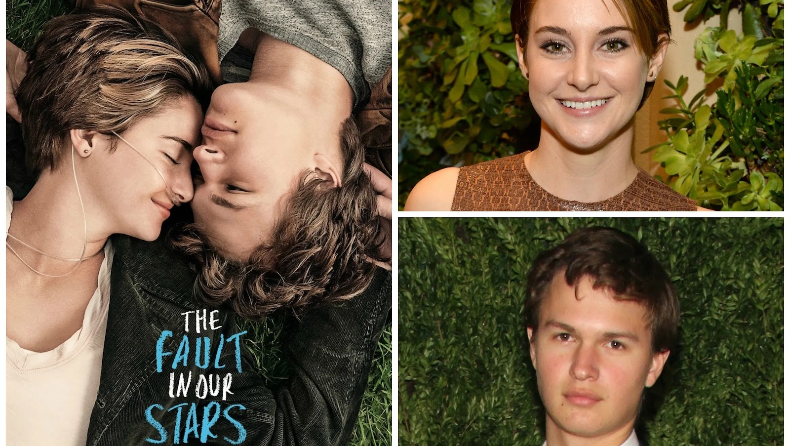 The story of The Fault in Our Stars follows two teenagers, Hazel Grace Lancaster (Shailene Woodley) and Augustus Waters (Ansel Elgort).