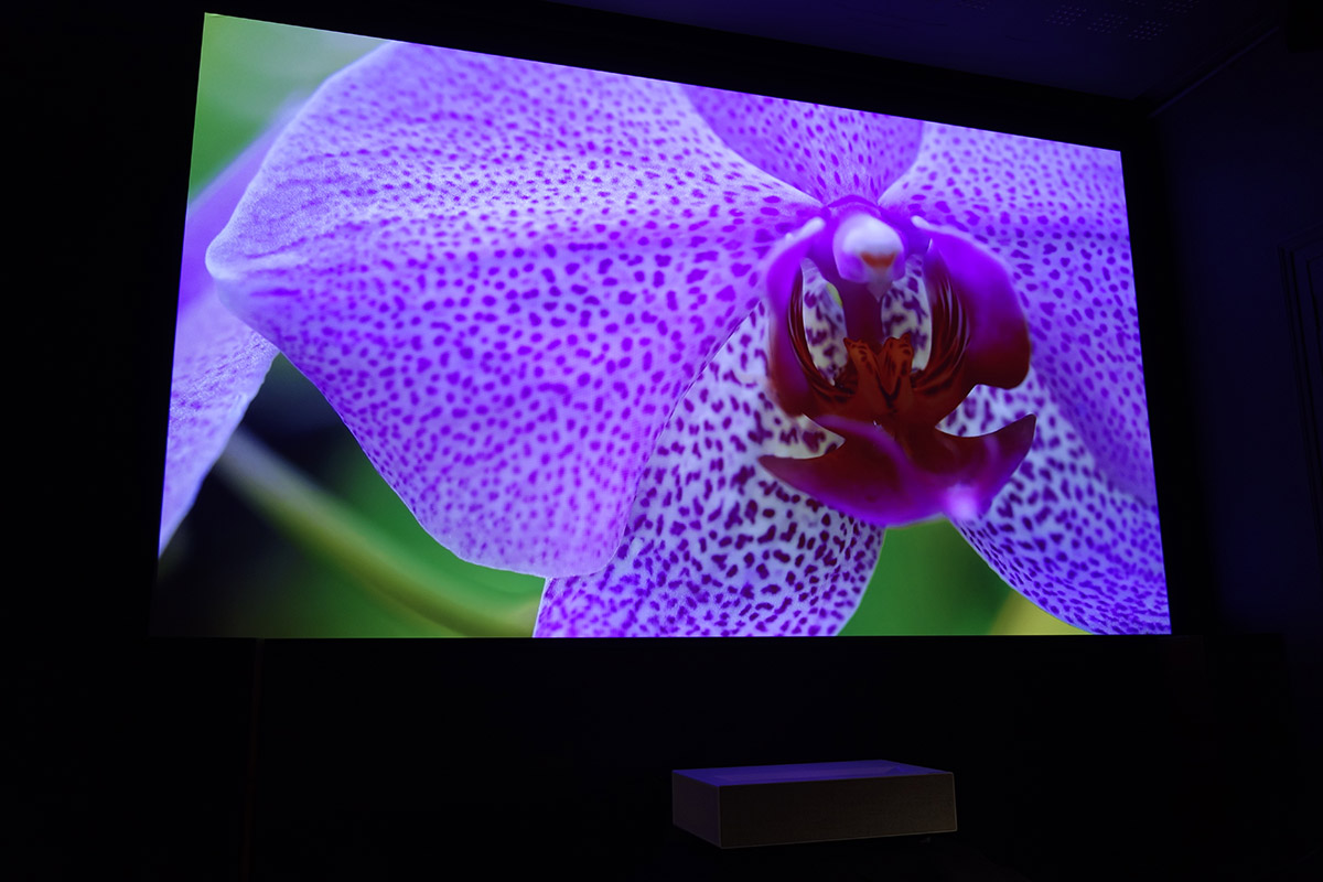 LG Écran OLED 4K 31,5'' avec gradation des pixels et rapport de contraste  de 1M : 1