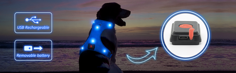 rechargeable dog harness