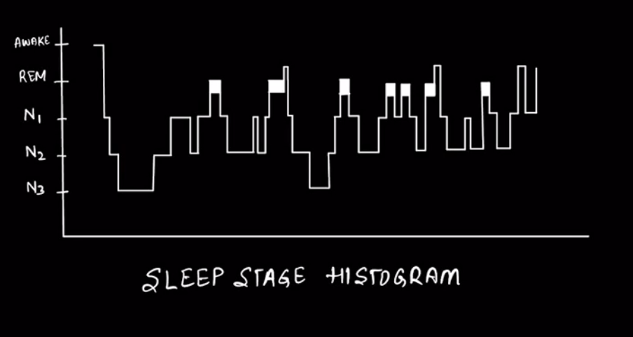 Sleep stage histogram