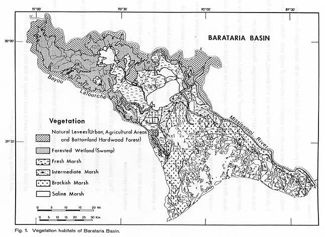 Barataria Vegetation Map