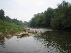 Златаришка река - село Джулюница