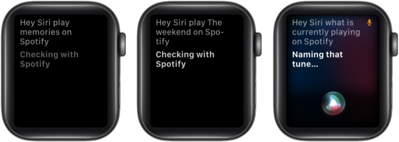 Spotify on Apple Watch