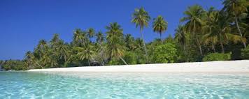 Image result for tonga beach