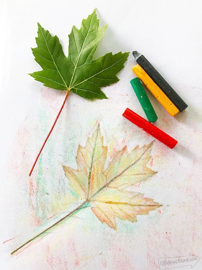 30 Outdoor Arts and Crafts for Kids: Leaf Rubbing 