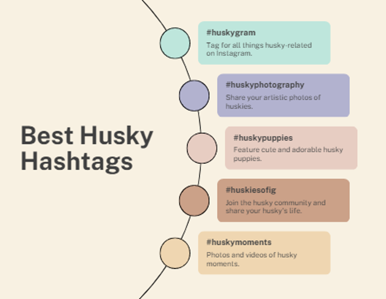 Best Husky Hashtags